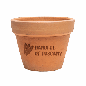 Il tuo sogno in kit