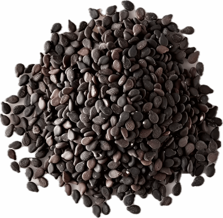 vecteezy_ai-generated-pile-of-black-chia-seeds-close-up-png_42580016